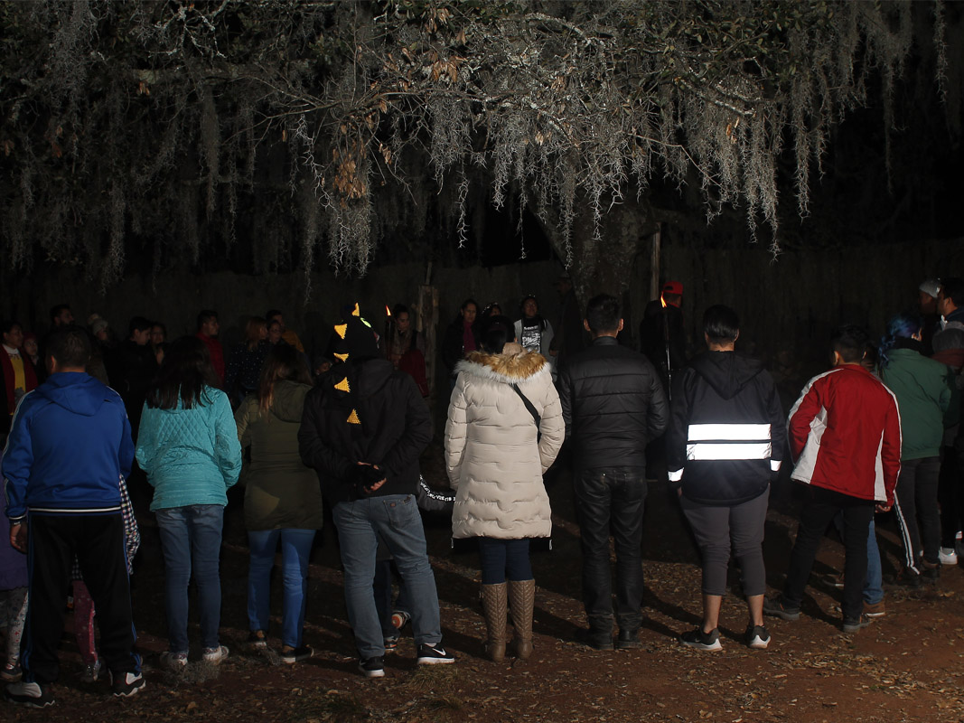 Imagen 5